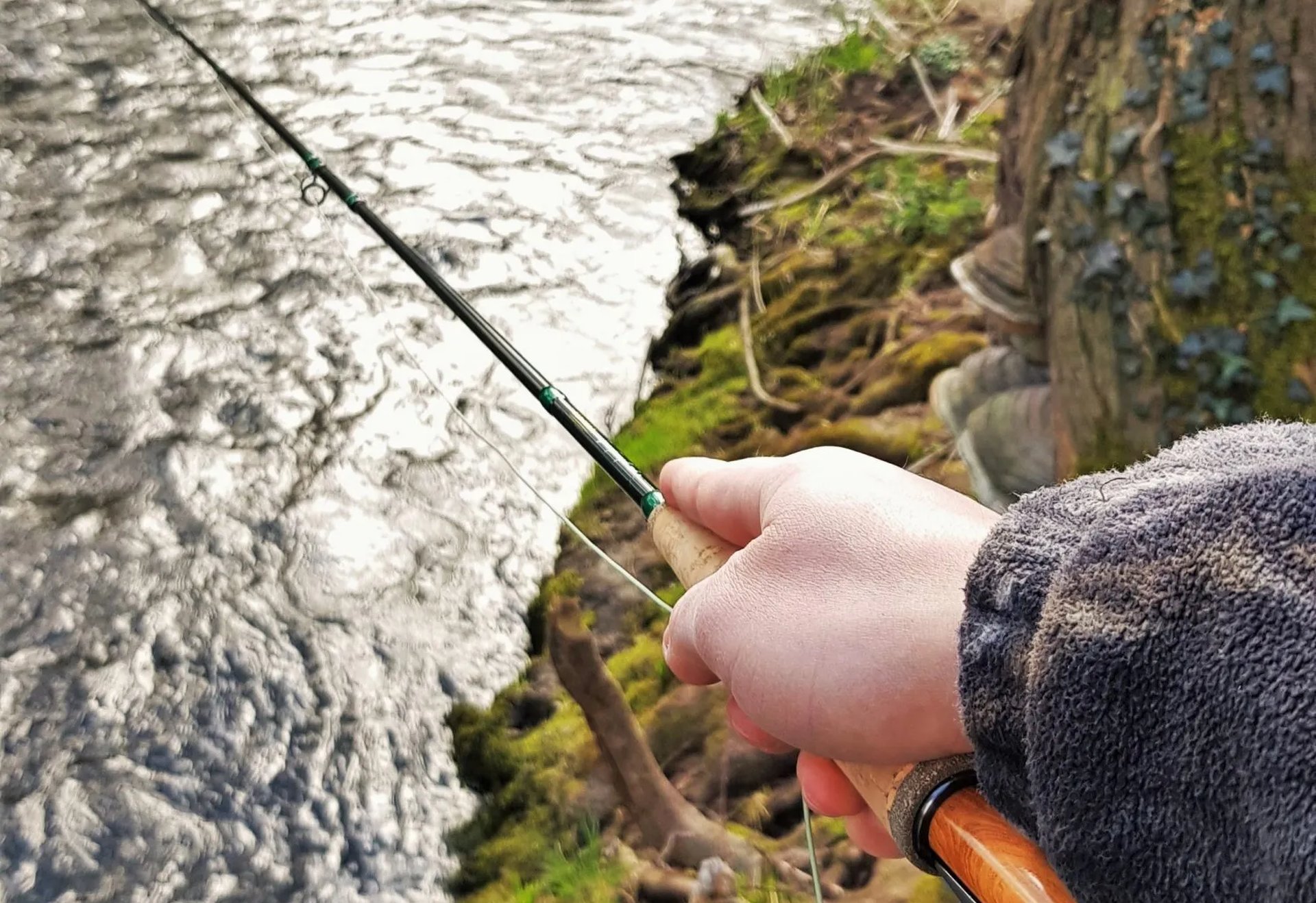 Eine Person hält eine Fliegenrute über einen kleinen, bewachsenen Bach.