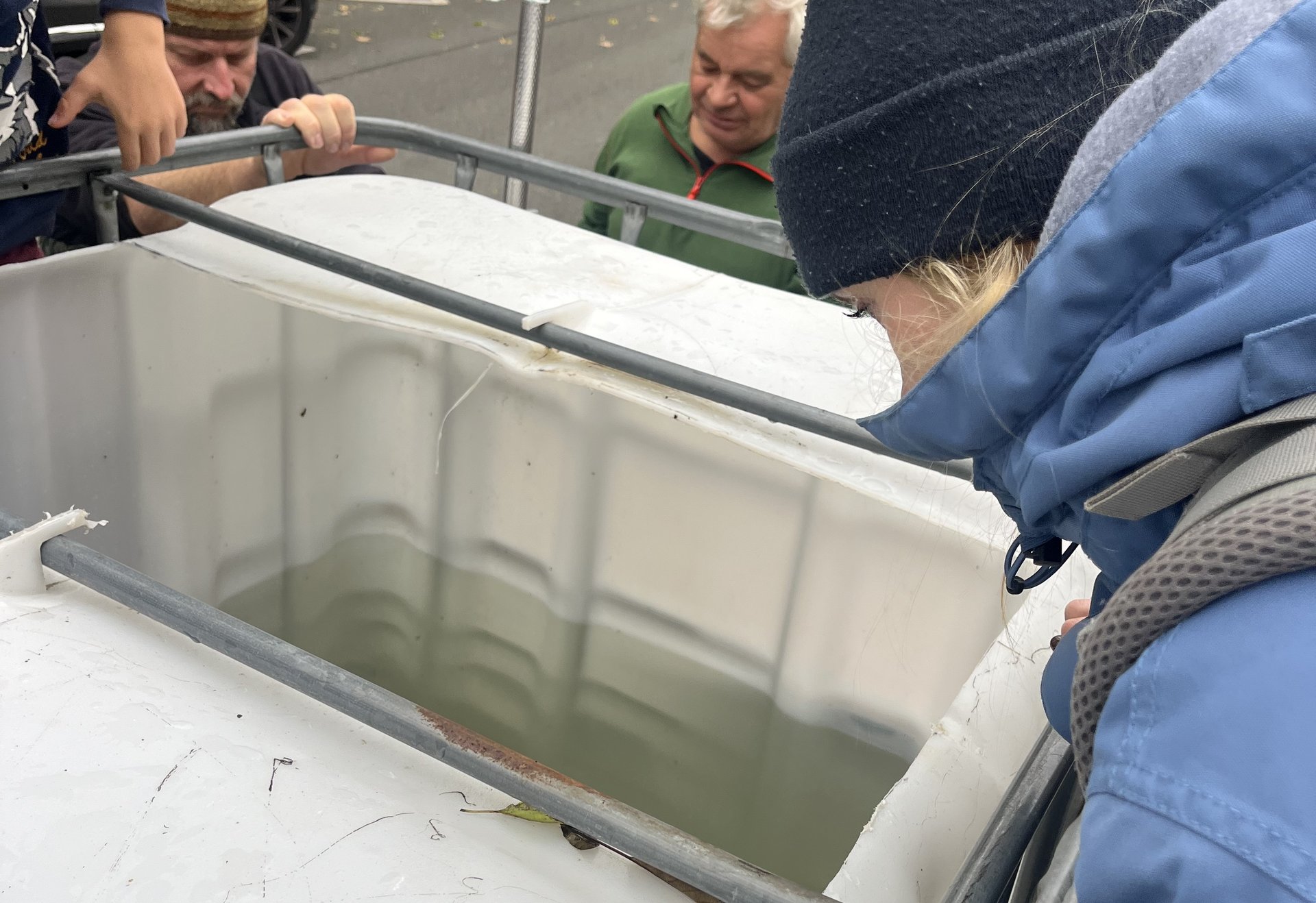Mehrere Personen, darunter Kinder und Erwachsene, schauen in einen großen weißen Wassertank, in dem Fische transportiert werden. Sie stehen auf einer Straße, im Hintergrund sind Bäume und Gebäude zu sehen.